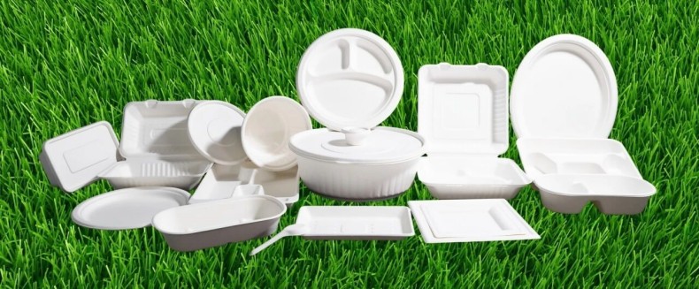 DM_20250914075340_007